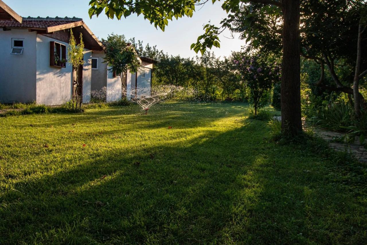 Вилла La Livada Greci Экстерьер фото