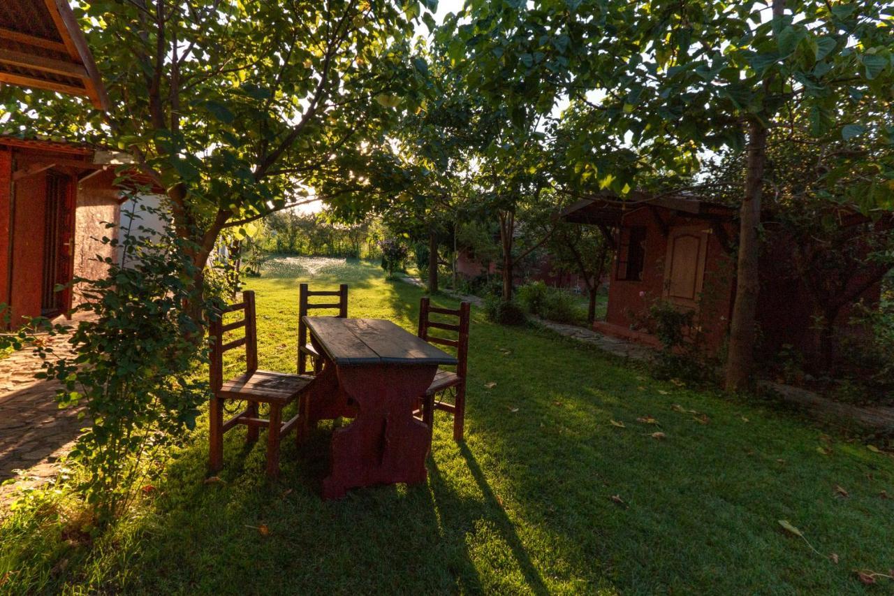 Вилла La Livada Greci Экстерьер фото