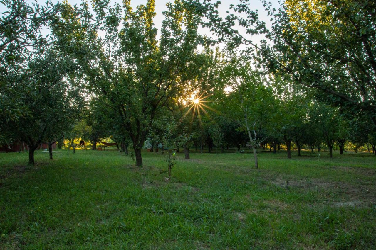 Вилла La Livada Greci Экстерьер фото