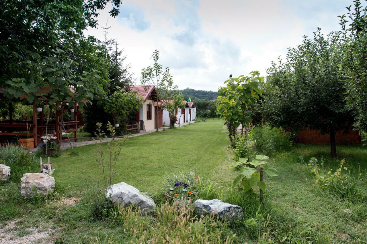 Вилла La Livada Greci Экстерьер фото